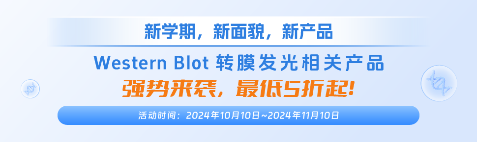 WB轉膜發光產品促銷 